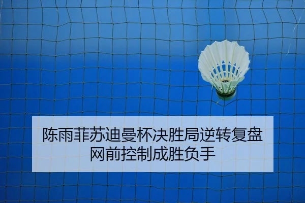 陈雨菲苏迪曼杯决胜局逆转复盘 网前控制成胜负手