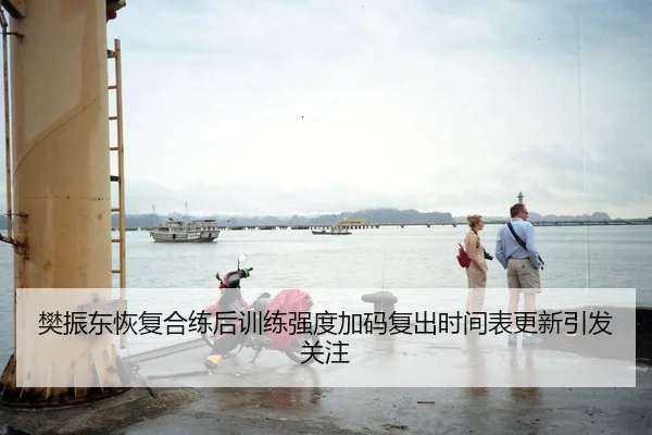 樊振东恢复合练后训练强度加码复出时间表更新引发关注