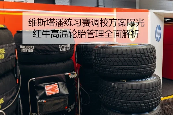 维斯塔潘练习赛调校方案曝光 红牛高温轮胎管理全面解析